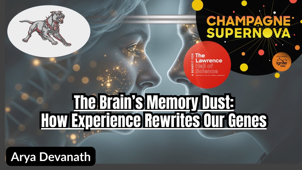 The Brain's Memory Dust Ignite Talk